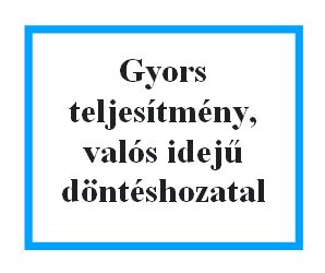 Döntéshozatal